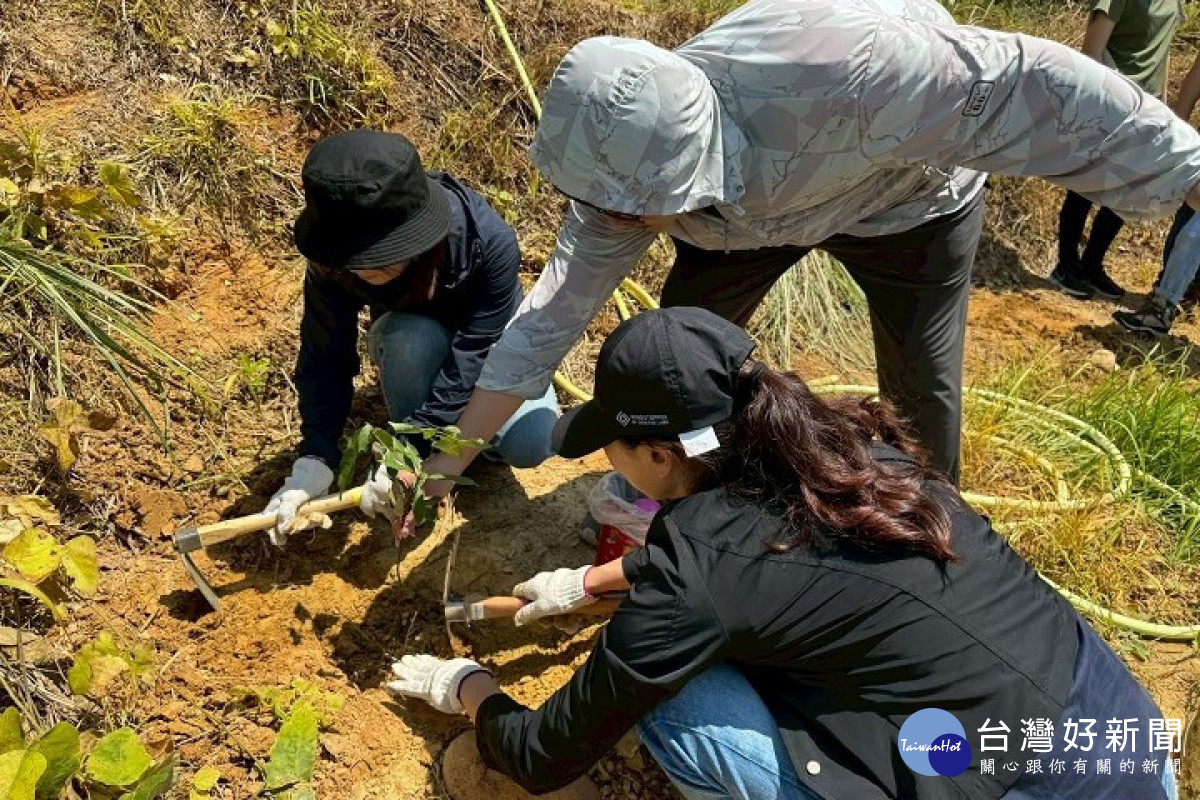 皇昌員工親手栽植樹苗,體驗山林復育過程,落實企業參與環境永續。