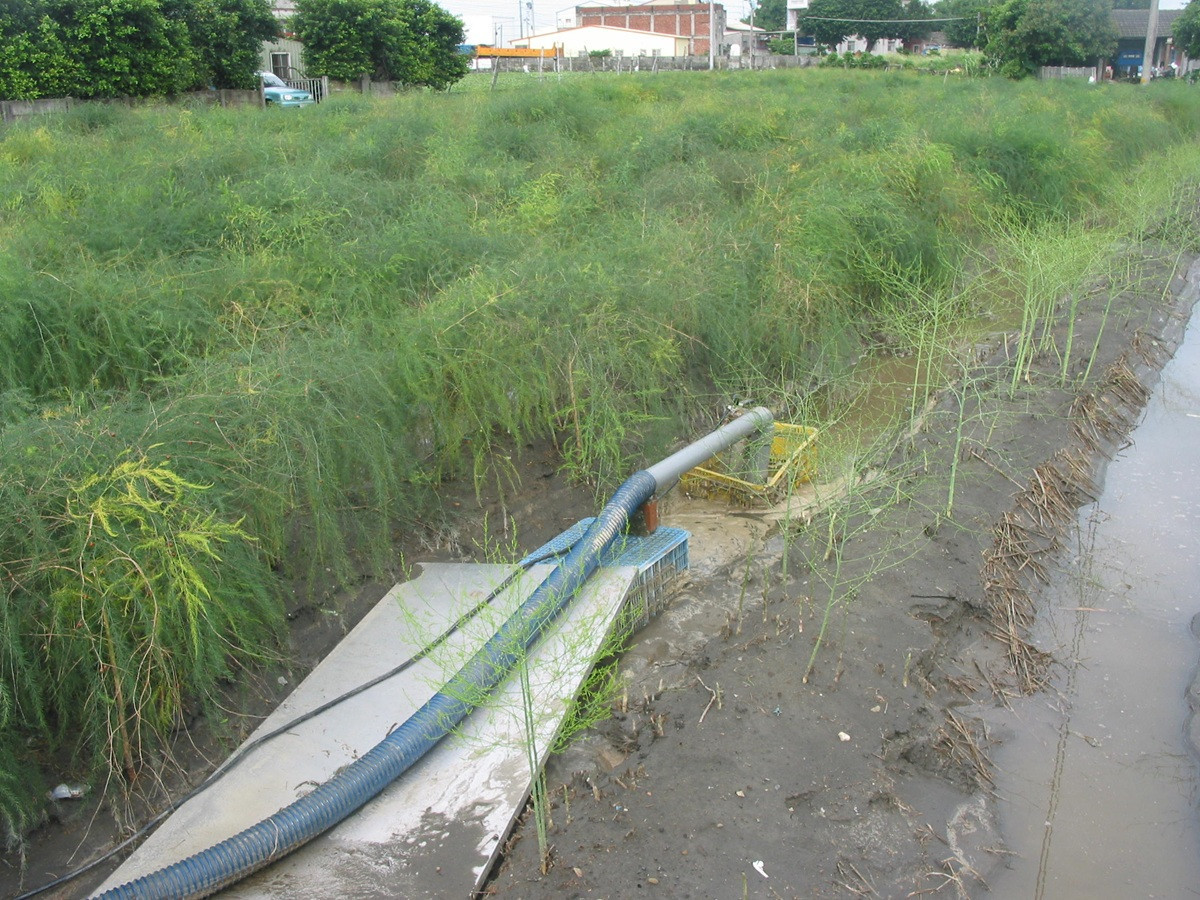 豪雨來襲  臺中農改場籲請農友提前做好防雨與排水措施