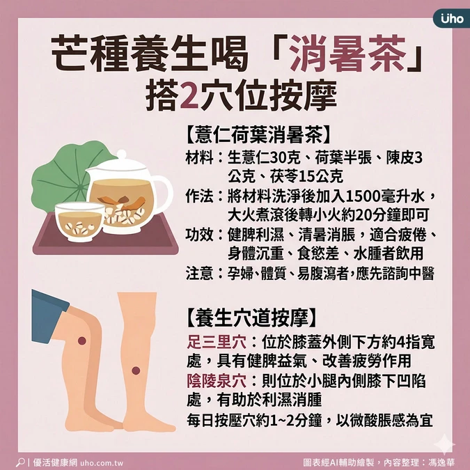 芒種養生茶飲、穴位按摩