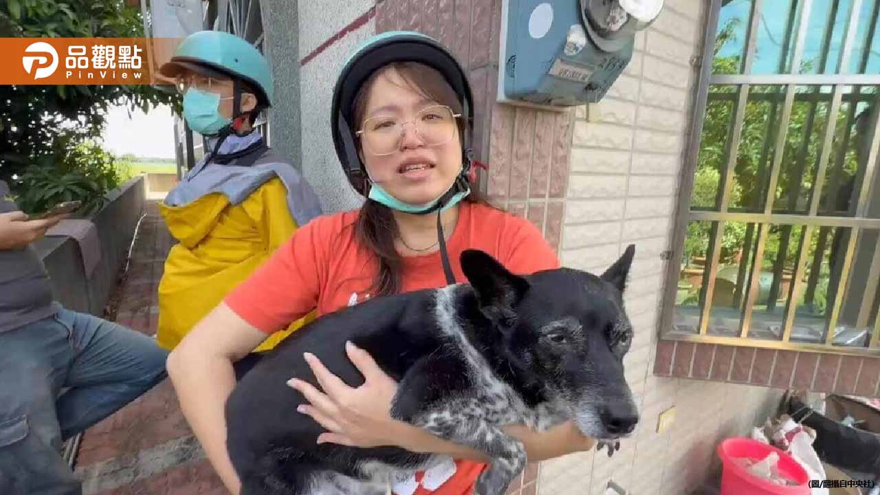懸賞50萬成功找回走失「美琪」 懸賞金最暖結局曝光