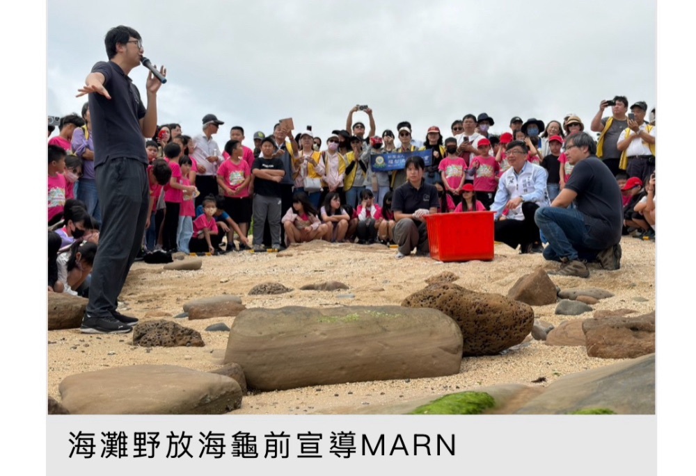「龜太郎」野放啟動衛星追蹤 新北動保處強化海洋生態監測 194 248260608a05