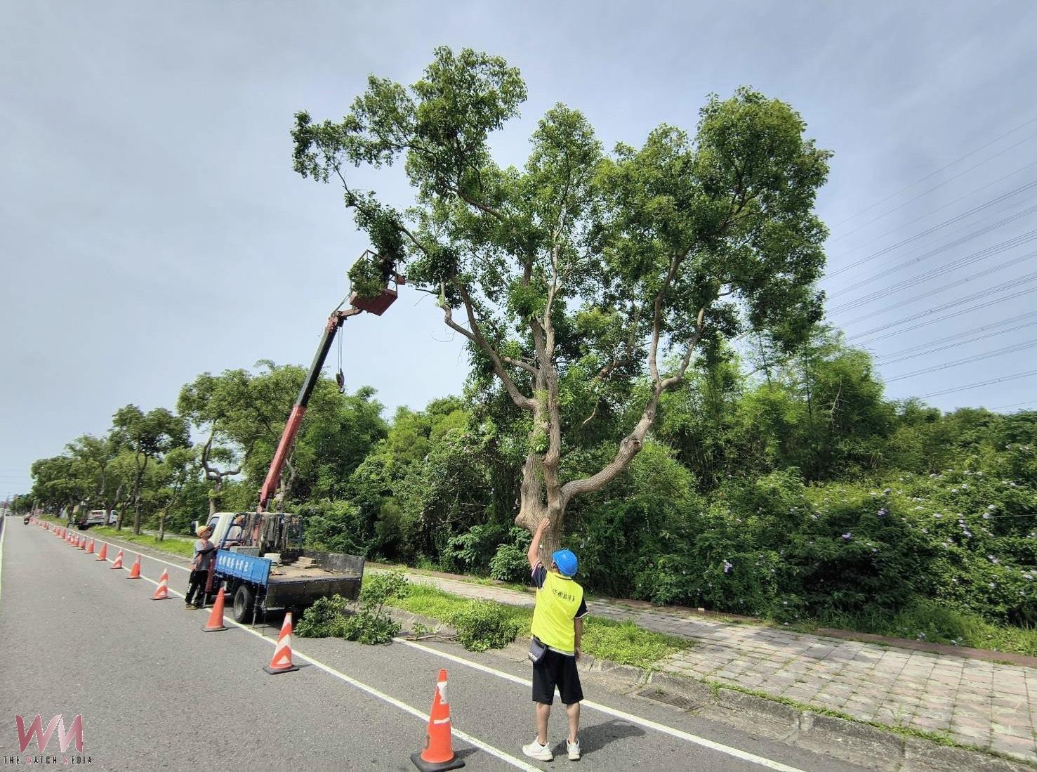 梅雨鋒面來襲、防汛戒備升級　台中市建設局啟動三級應變守護市民安全 - https://www.watchmedia01.com