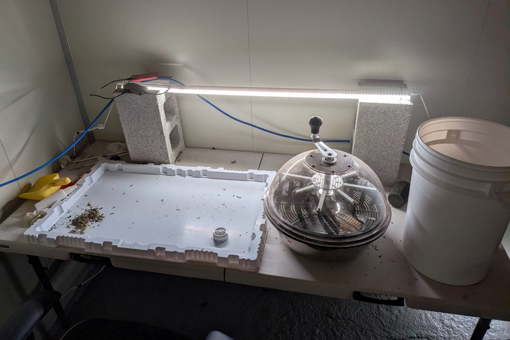 阿法仔也在台製毒 調查局破獲台法共組鉅量大麻工廠 214 阿法仔也在台製毒 調查局破獲台法共組鉅量大麻工廠 213