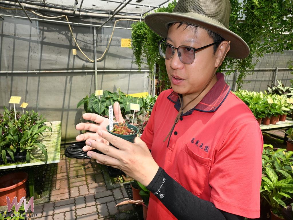 田尾鳳凰園藝打造食蟲植物專區　吸引民眾探索生態奧秘 - https://www.watchmedia01.com