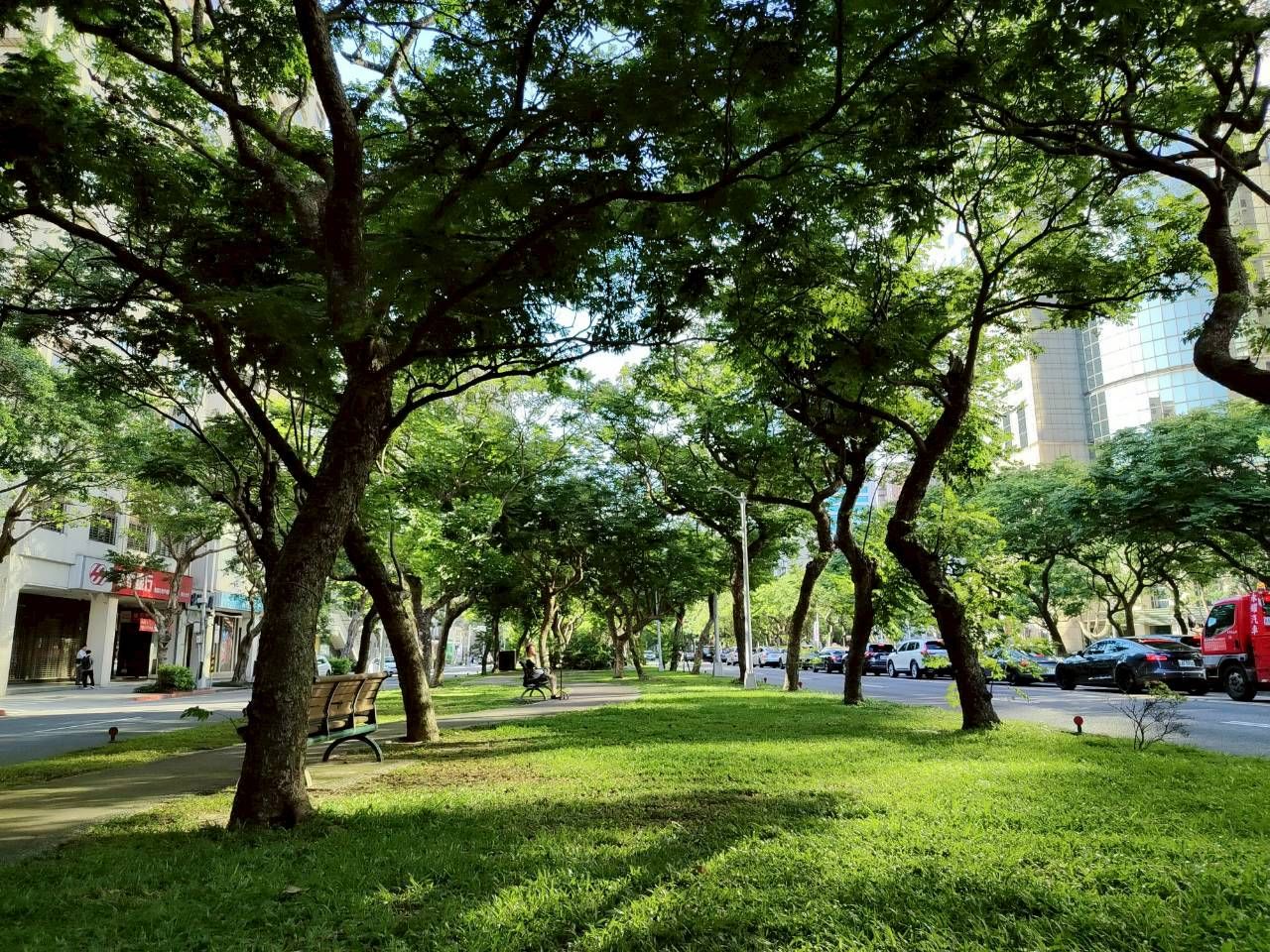 不只是交通動脈! 敦化南路美了半世紀5部經典電影與神曲都在這取景