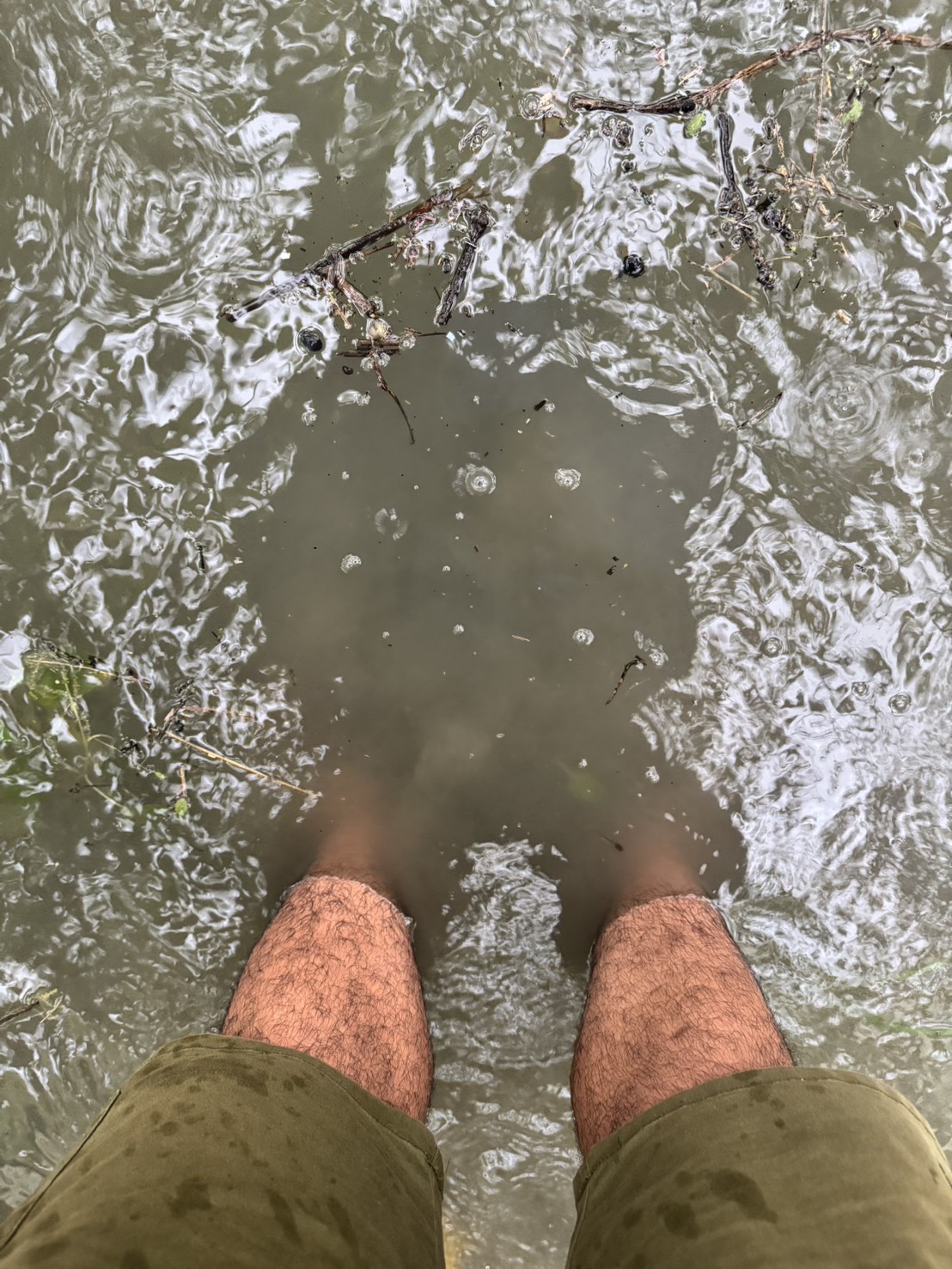 雨炸不停！火龍果泡水半公尺、葡萄恐裂果農民崩潰 - https://www.watchmedia01.com