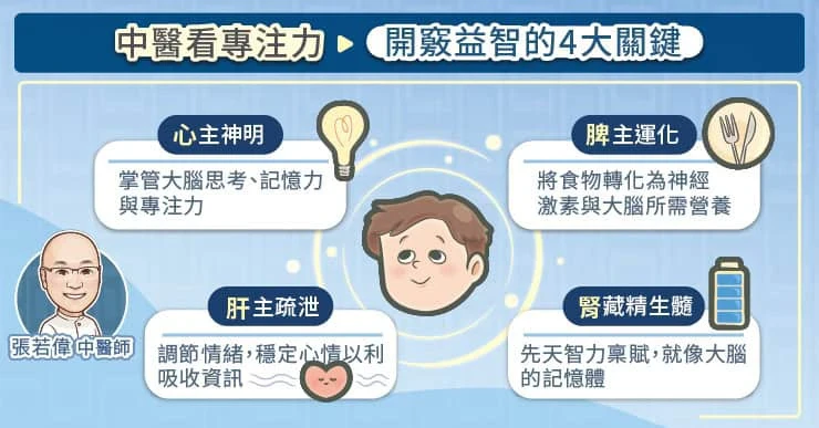 中醫看專注力與記憶力