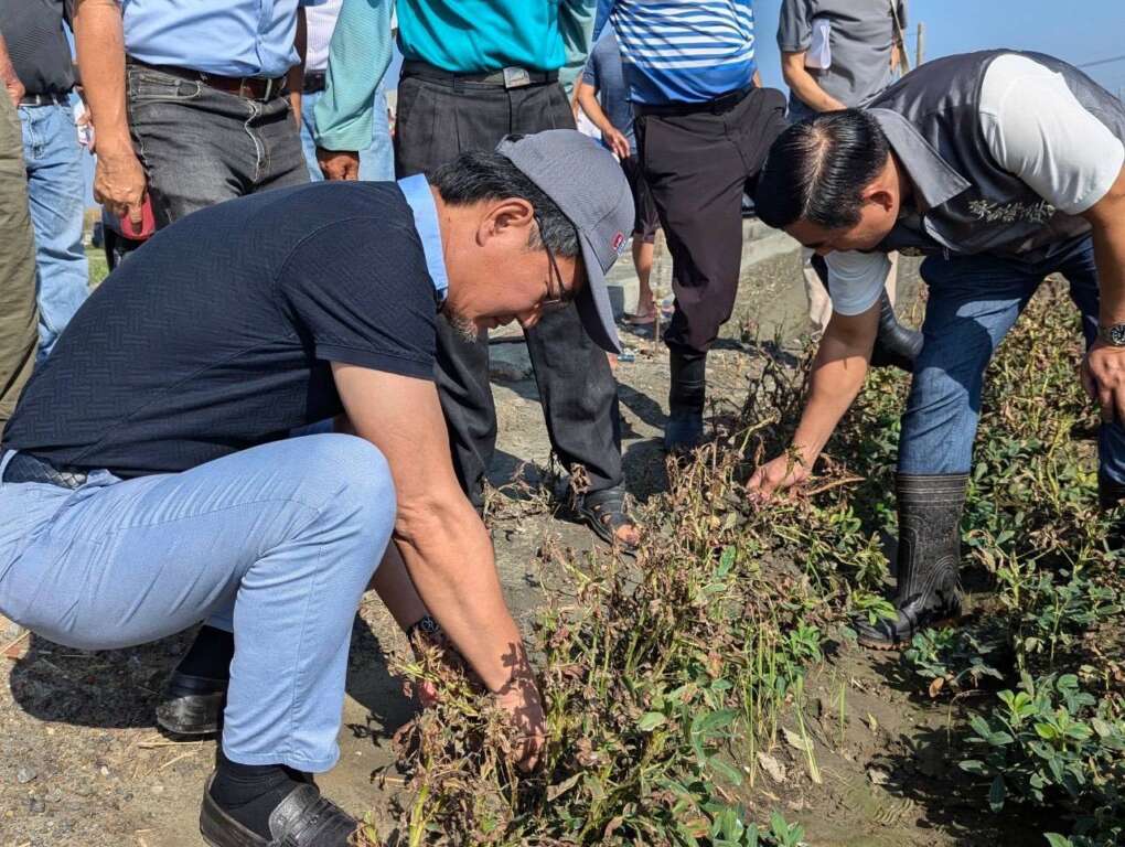 ▲花生價格波動,劉建國:農業部應啟動穩定價格措施。(圖/記者劉美君翻攝)