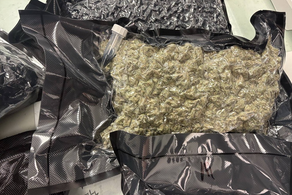 行李藏市值9000萬大麻闖關　2老外鋌而走險被訴毒品罪 233