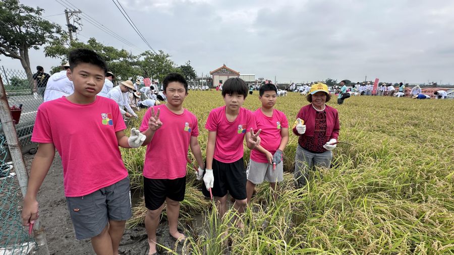 畢業前最珍貴的一堂課 香田國小畢業生體驗稻米收割
