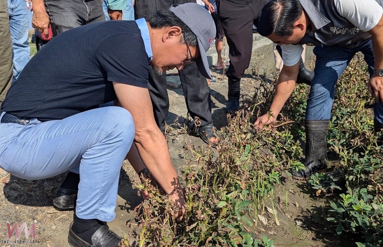 豪雨衝擊採收非零關稅惹禍　劉建國促查緝炒作穩定花生價格 - https://www.watchmedia01.com