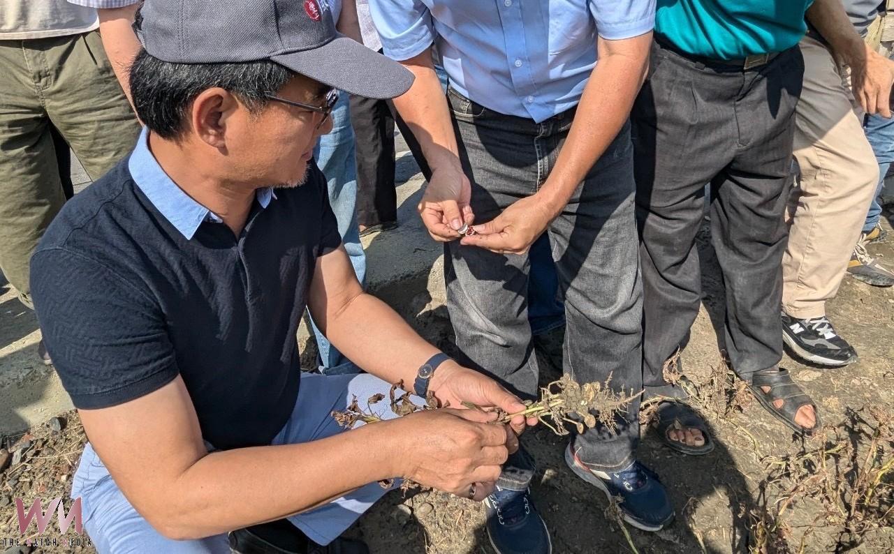 豪雨衝擊採收非零關稅惹禍　劉建國促查緝炒作穩定花生價格 - https://www.watchmedia01.com