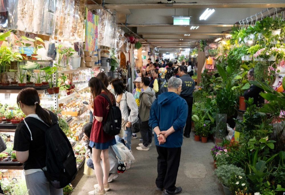 「板橋花市」歡慶30週年 新北農業局打造百草花牆 219 248260612a05