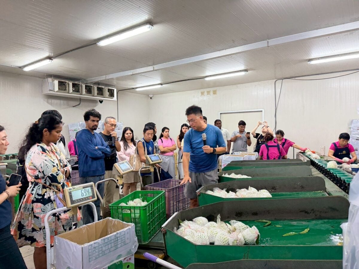 ▲高雄市政府農業局攜手高雄科技大學辦理「芭樂職場媒合與觀摩體驗」活動,帶領國際學生走進燕巢芭樂集貨包裝場,實地了解果品分級、包裝及運銷流程,並透過職場體驗與就業媒合,鼓勵學生於寒暑假投入農務工作,為農業缺工問題注入青年新血。