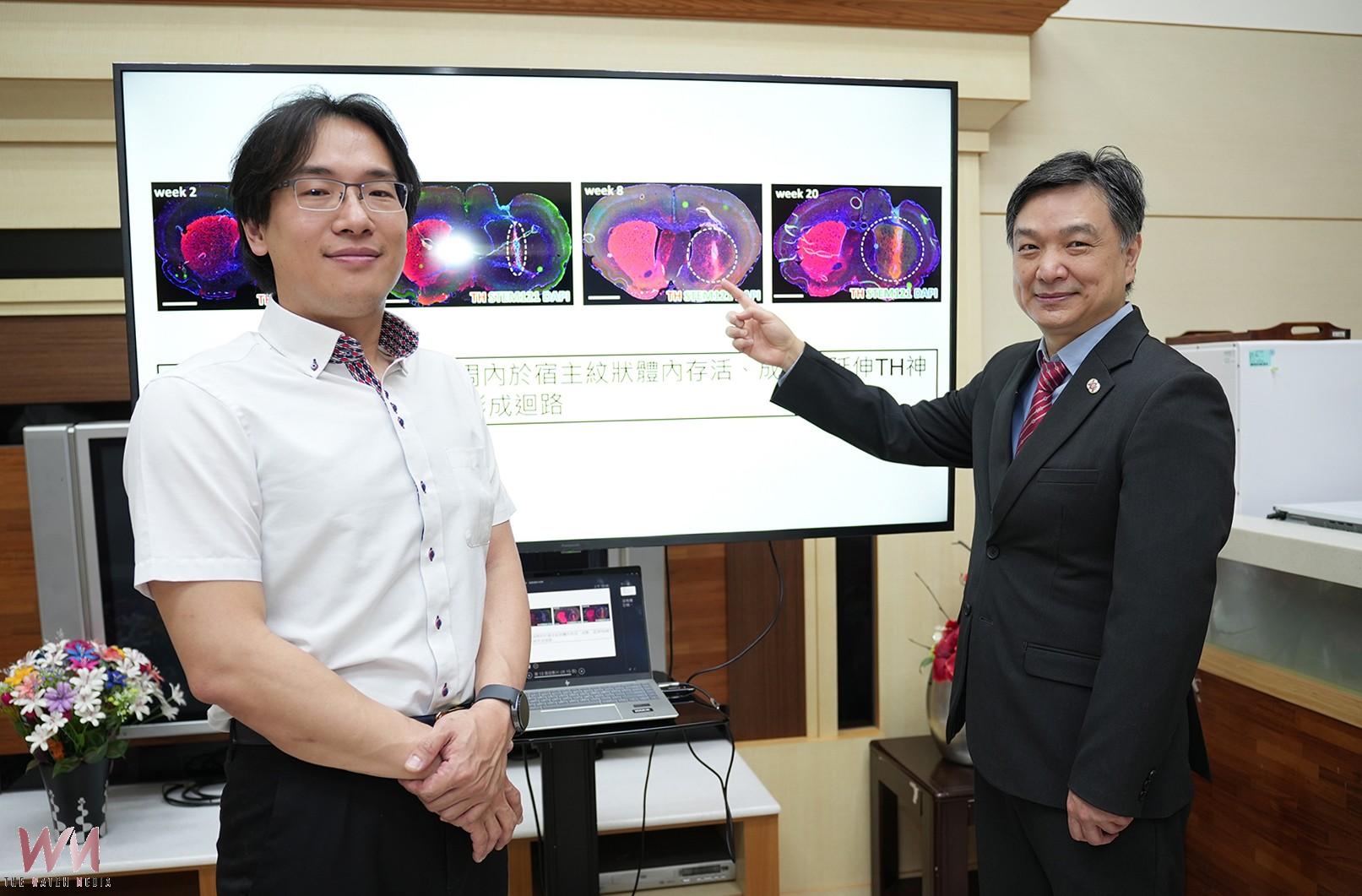 興大與慈濟醫療法人研發「即用型」iPSC 神經球 突破巴金森氏症治療枷鎖 - https://www.watchmedia01.com