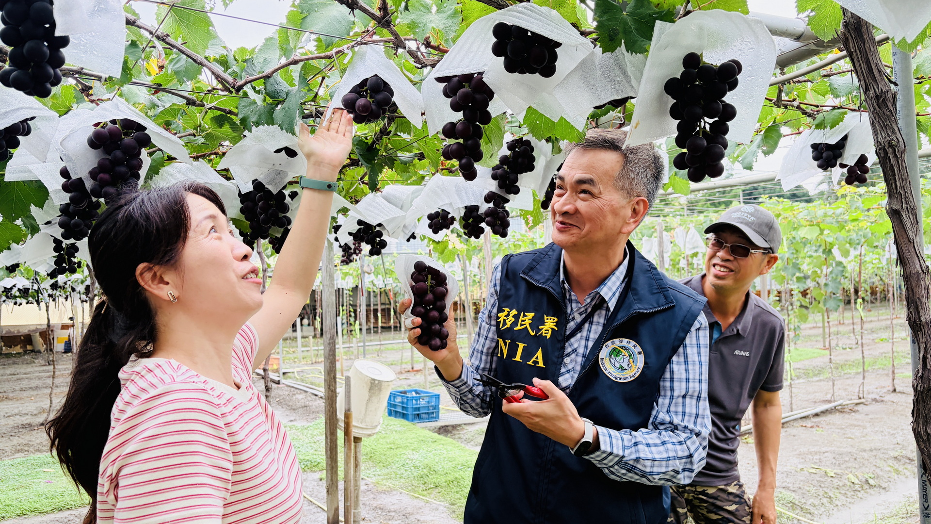 (有影片)/葡萄園到健身房!移民署走訪彰化看見新住民多元發展 - https://www.watchmedia01.com