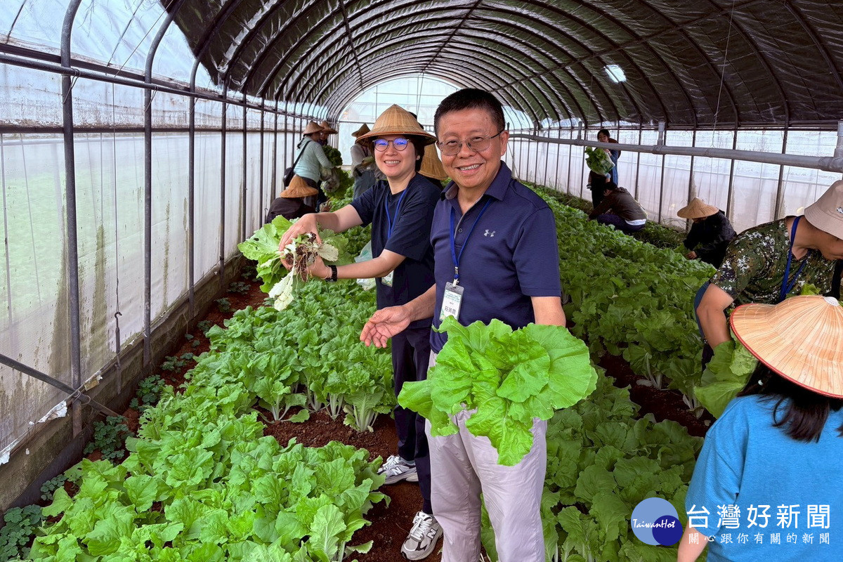 桃捷公司總經理莊英震偕同員工及眷屬採收有機蔬菜送愛心。
