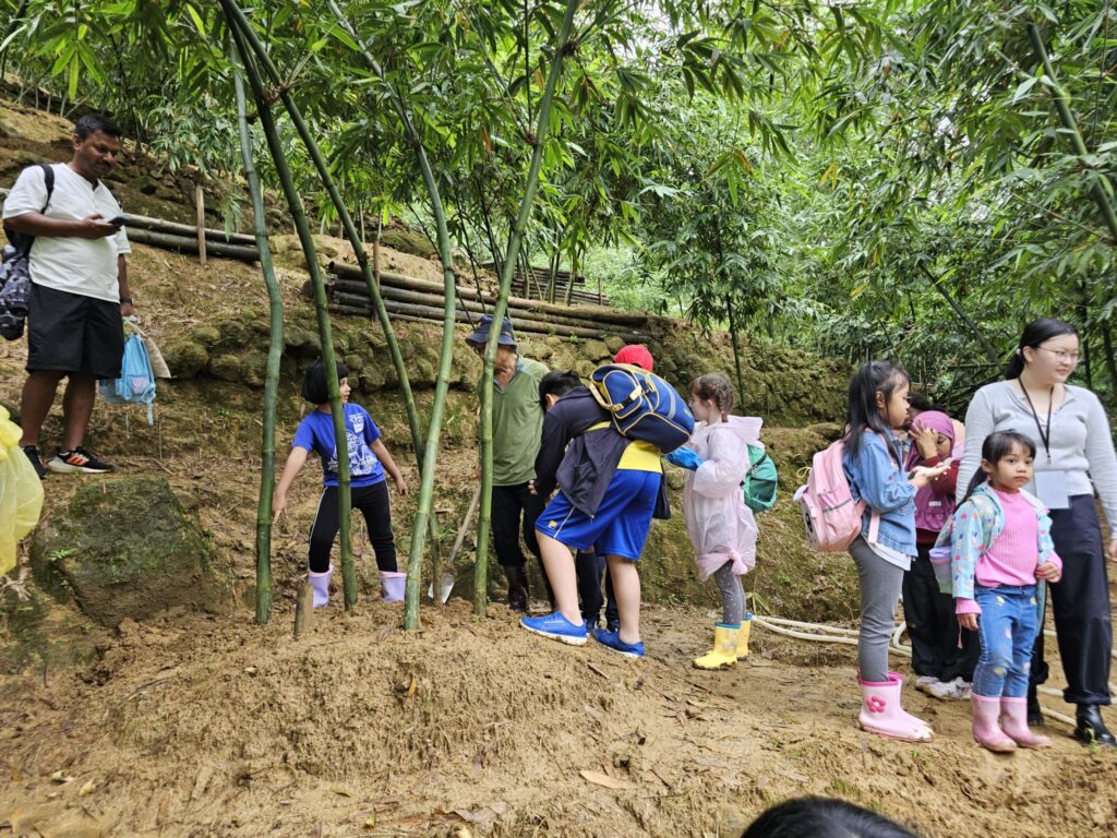 跨國銜轉生一日農夫體驗 採文山綠竹筍融入在地 42 394401
