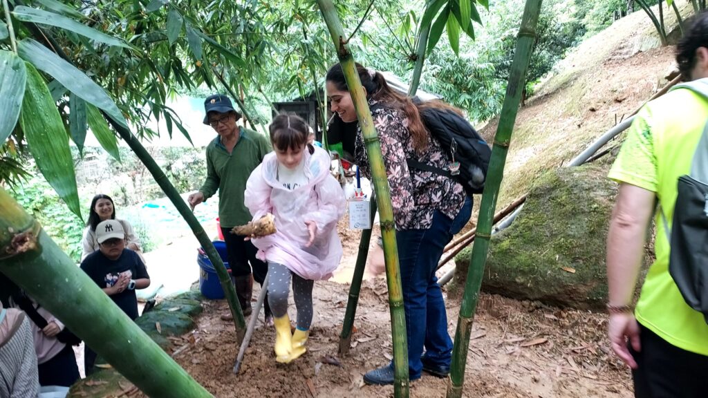 跨國銜轉生一日農夫體驗 採文山綠竹筍融入在地 43 731316
