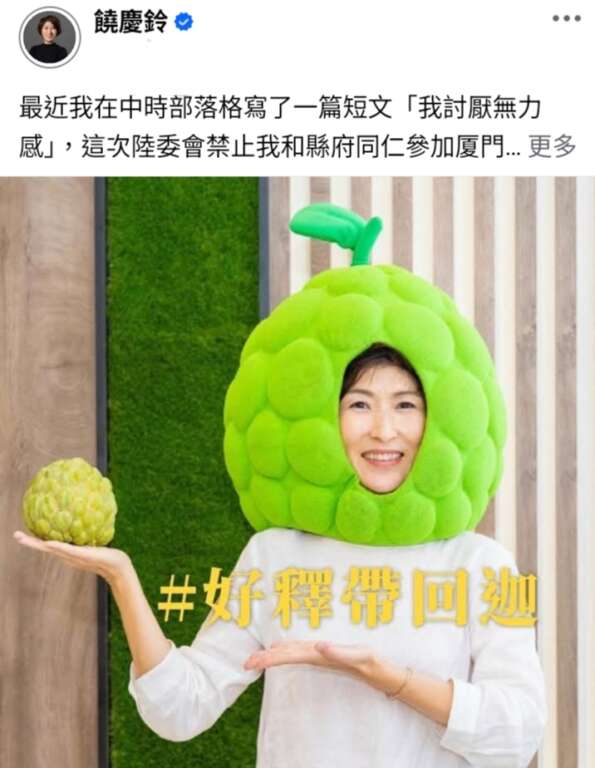 ∆原訂出席海峽論壇活動的台東縣長饒慶鈴,因行程被擋下,於6月11日在臉書發文表達不滿。(圖/截取自饒慶鈴臉書)
