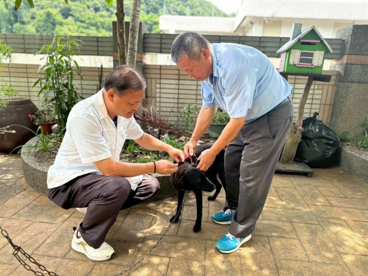 ▲夏季野生動物活躍,中市推20場免費疫苗巡迴防狂犬病。(圖/記者顏淑娟翻攝)