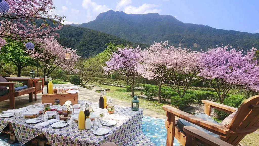 想在不出國的情況下展開一場療癒自駕小旅行,「陽明山」絕對是最適合說走就走的目的地之一。(圖片由 Booking.com 提供)