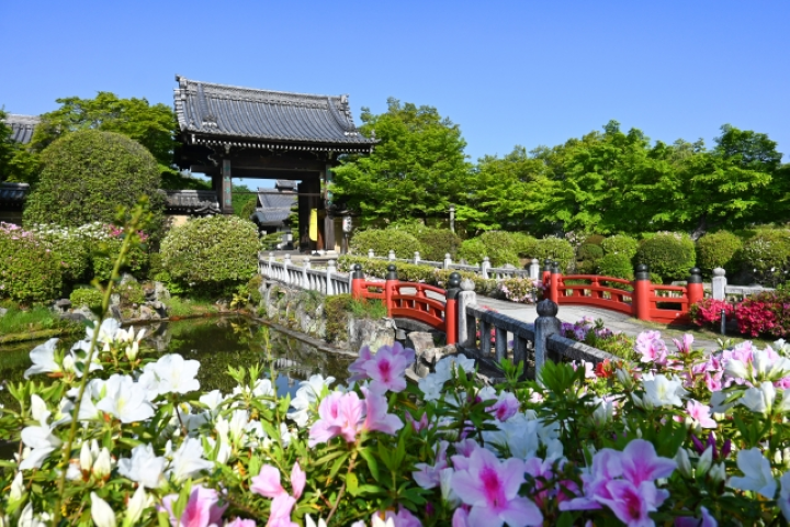 遠離喧囂的靜心之旅!日本京都三大歷史名剎絕景大公開