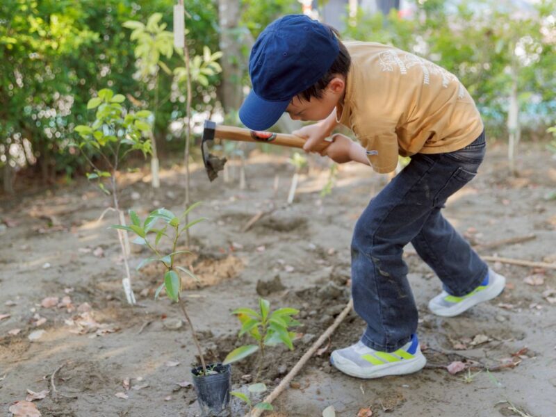 圖文:慈濟首座宮脇小森林落腳台南安平聯絡處攜手一野森林以大地遊戲串起社區及生態的共同創造。