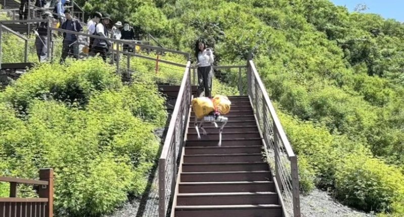 機器狗化身「鋼鐵清潔工」 助力周口店山區垃圾清運