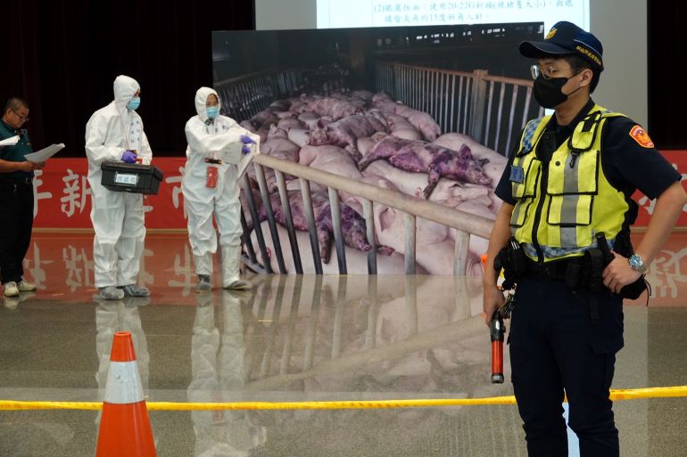 端午防疫不鬆懈 新北重大豬病兵推建構跨局處防護網 39 《圖說》派出所員警進行肉品市場移動管制。〈動保處提供〉