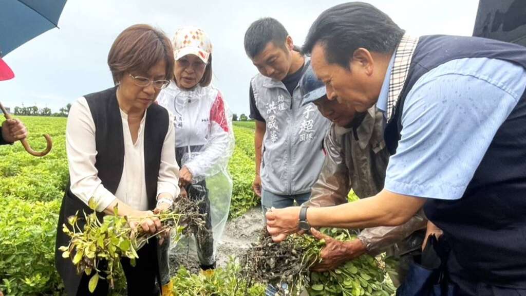 ▲彰化縣長王惠美與民代等人於今日傍晚前往大城鄉實地關心農損災情,呼籲中央能重視也能及早核定災害補助,讓農民能夠盡早開始下一期的耕作,穩定收入。(圖/彰化縣政府提供)