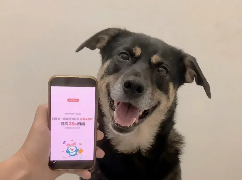 為毛孩生活加分！鮮食、寵物服飾、配件及生活精品等超過千種商品，指定藥妝X寵物店鋪單筆消費滿額最高享28_回饋