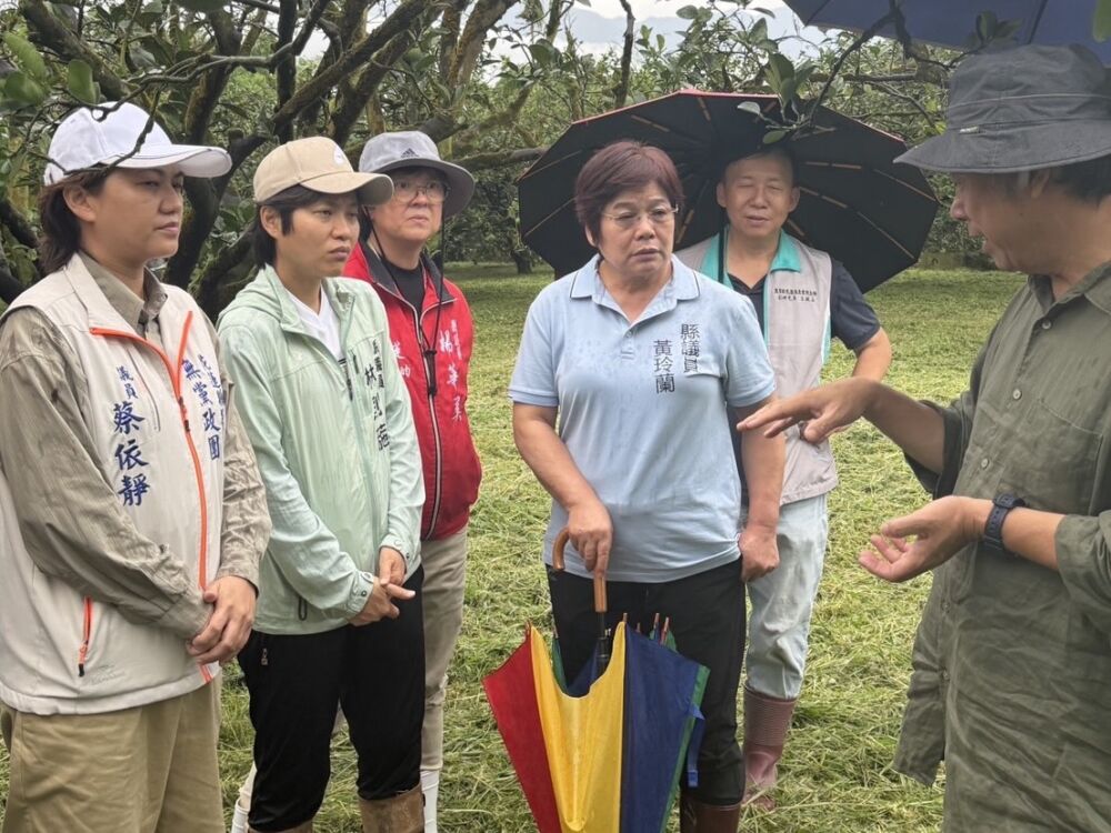 花蓮文旦著果率不佳衝擊農民 張峻提3方向建立農業安全網 244 花蓮文旦著果率不佳衝擊農民 張峻提3方向建立農業安全網 243