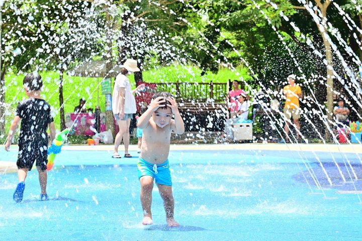陪孩子清涼一夏！中科公園戲水區 暑假免費開放 