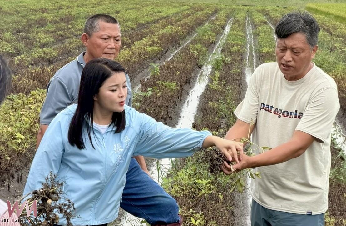 豪雨重創雲林花生採收期 張嘉郡籲從速從寬補助搶救農民生計 - https://www.watchmedia01.com