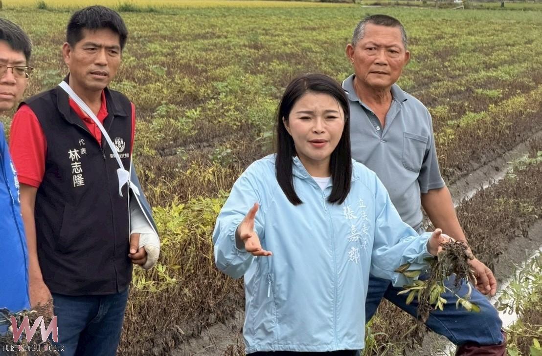 豪雨重創雲林花生採收期 張嘉郡籲從速從寬補助搶救農民生計 - https://www.watchmedia01.com