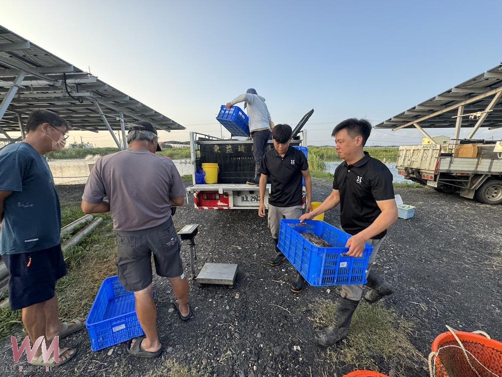 台泥綠能3主管涉賄遭收押　公司已予免職並將追責求償