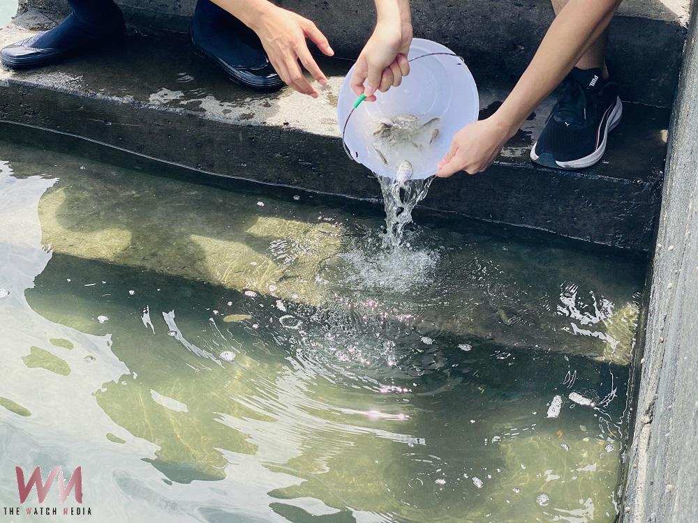 雲林打造「空水岸」三維護海系統 56萬尾魚苗同步放流 - https://www.watchmedia01.com
