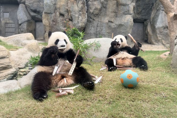 香港夏日盛會/盡享數十萬份旅客專屬夏日禮遇 體驗全城矚目盛事
