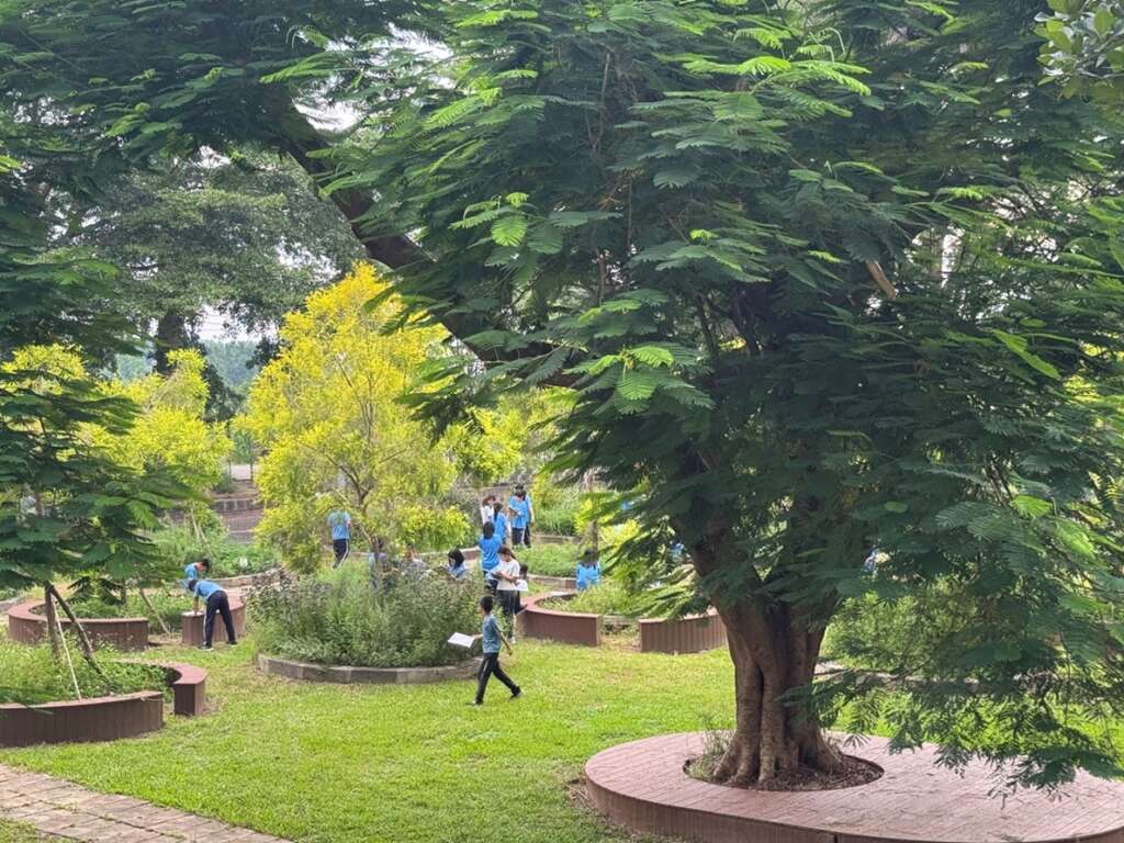 ▲福智國小學子透由規劃四季應用課程探索藥草園，成為食農教育的重要基地（福智國小提供）