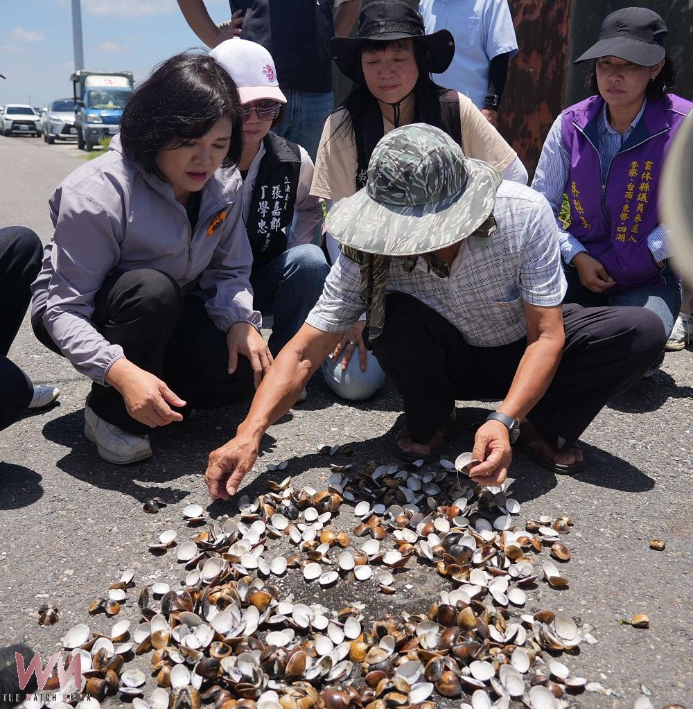 梅雨高溫夾擊雲林農漁業　高粱文蛤災損嚴重急盼救助