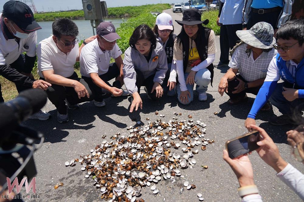 梅雨高溫夾擊雲林農漁業　高粱文蛤災損嚴重急盼救助 - https://www.watchmedia01.com