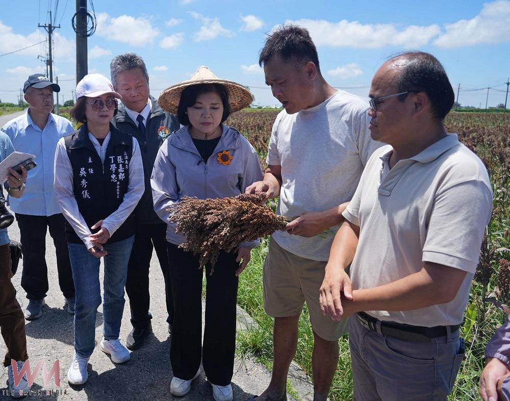 梅雨高溫夾擊雲林農漁業　高粱文蛤災損嚴重急盼救助 - https://www.watchmedia01.com