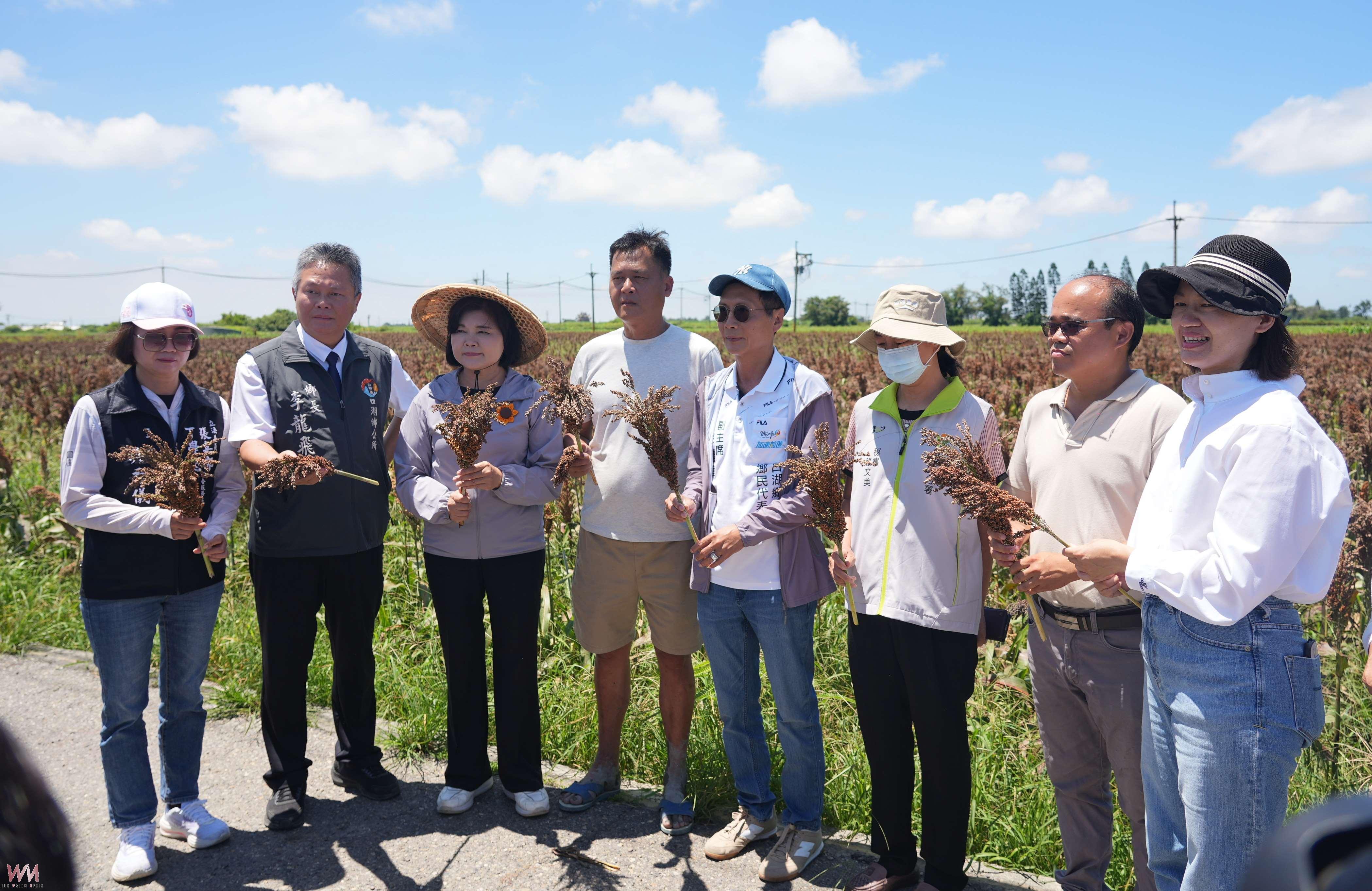 梅雨高溫夾擊雲林農漁業　高粱文蛤災損嚴重急盼救助 - https://www.watchmedia01.com