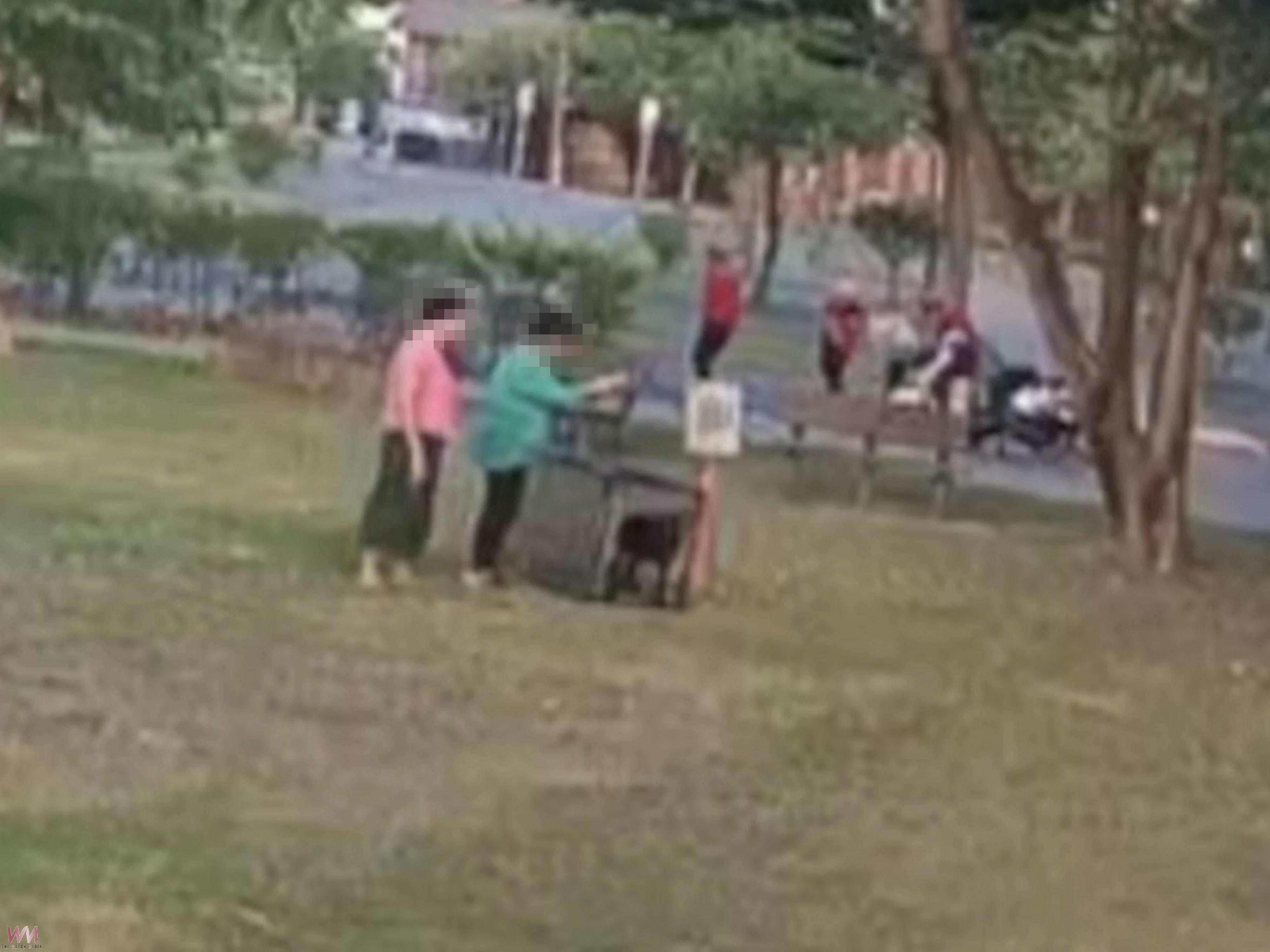 驚！鹿港運動公園犬群圍攻晨運客　民眾奔逃仍遭咬傷 - https://www.watchmedia01.com