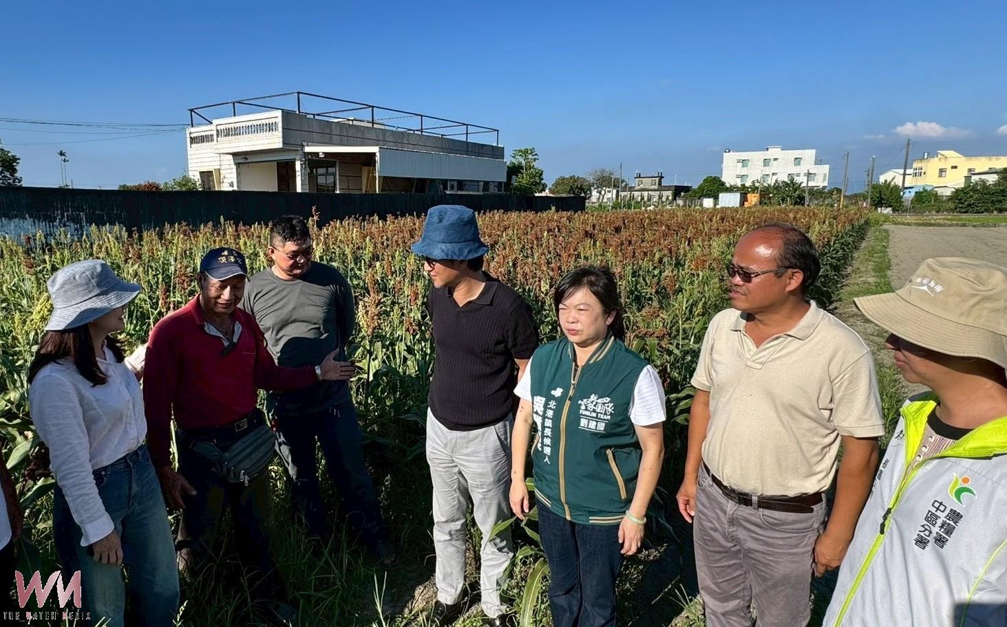 豪雨重創雲林高粱仙草　劉建國急會勘爭取農損救助 - https://www.watchmedia01.com