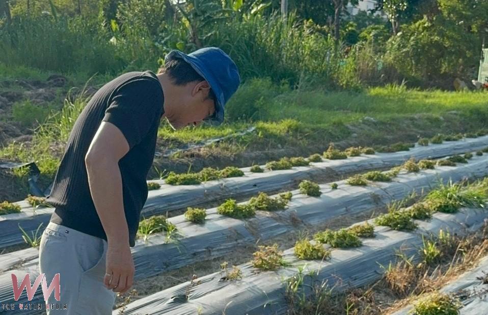 豪雨重創雲林高粱仙草　劉建國急會勘爭取農損救助 - https://www.watchmedia01.com
