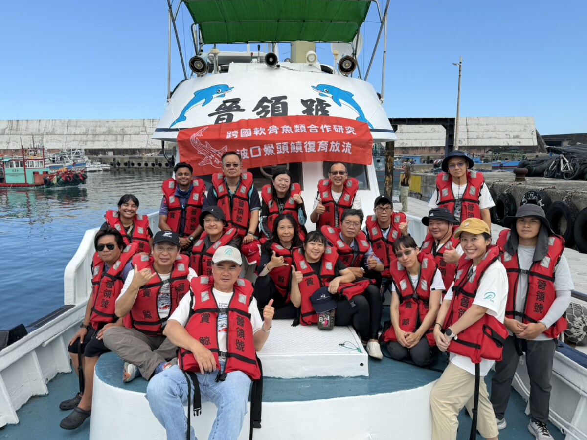 跨國合作守護海洋生態　高科大完成波口鱟頭鱝標識放流創舉