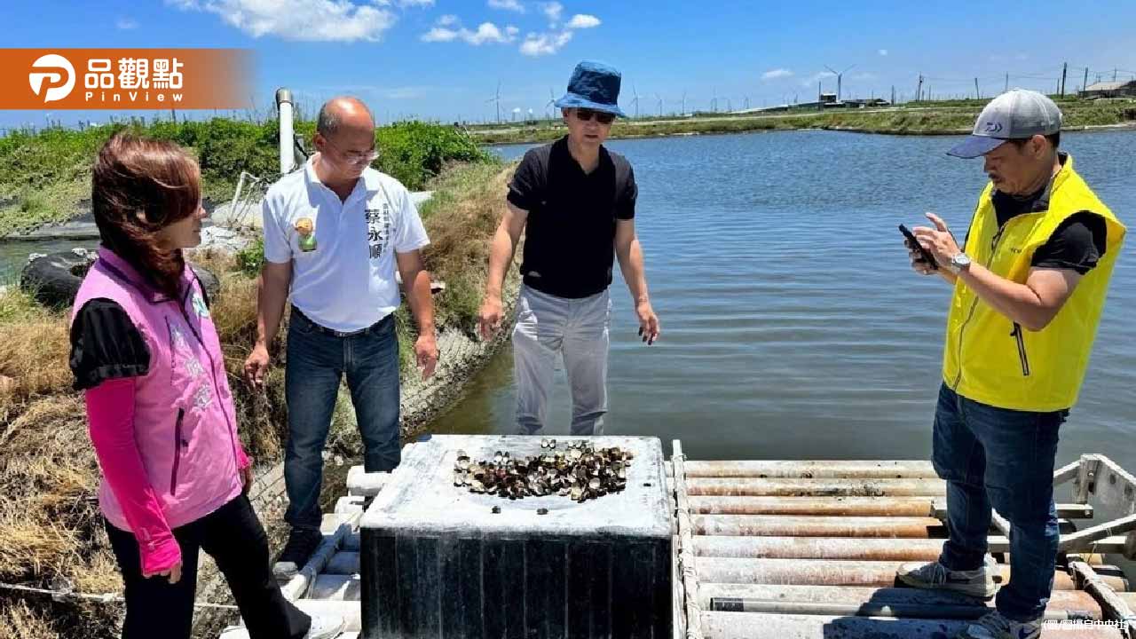 雨狂下！雲林高粱「穗上發芽」！文蛤全軍覆沒