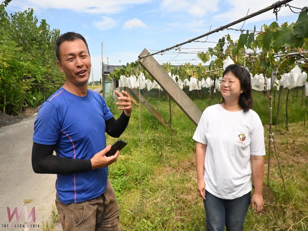 逆勢堅持露天栽培　大村青農賴信福夫妻守護最天然的葡萄風味